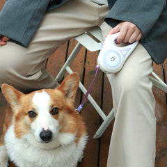 Dog Leash Retractable Collar